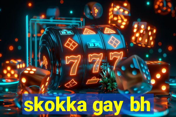 skokka gay bh